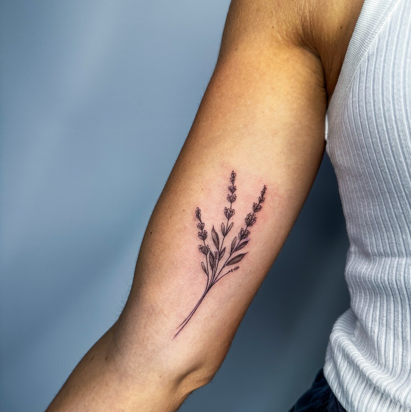 Tatouage de lavande fine line sur l'avant-bras